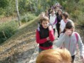/album/a5-evfolyamosok-kirandulasa-veszto-magoron/vesztomagor2011-63-jpg/